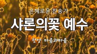 샤론의꽃 예수 (89장)-찬양/마음과마음(임석범,채유정)