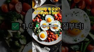 [건강정보] “다이어트 후 요요? 이 식단이면 안 와요!” ｜슬기로운건강생활TV