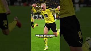 Why Erling Haaland Runs Like An Ostrich ? #haaland #football #shorts