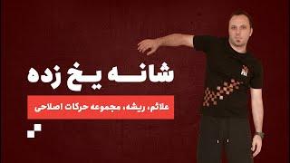 شانه یخ زده؛ علائم، ریشه‌یابی و درمان با حرکات اصلاحی در منزل