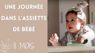 Une journée dans l'assiette de bébé (repas bébé 8 mois, naturopathie, alimentation saine, DME)