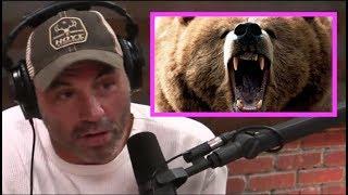 Joe Rogan STUNNED By Bear Attack Story