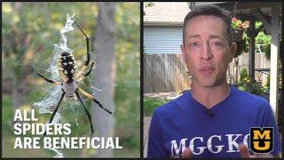 IPM - Know the Beneficials