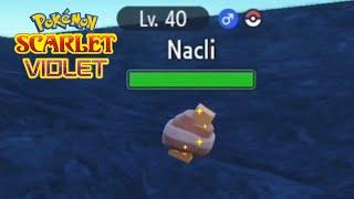 Shiny Nacli | Pokémon Scarlet & Violet