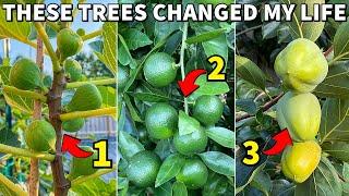 The 3 Fruit Trees That Changed My Life FOREVER!