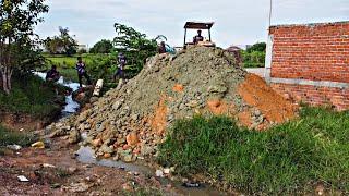 First Starting A New Project! Filling Land By Bulldozer Pushing soil with 5ton Trucks