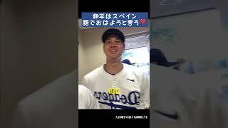翔平はスペイン語でおはようと言う️ #大谷翔平 #shoheiohtani #shorts #japan #baseball #trending #mlb #野球 #野球解説  #dodgers