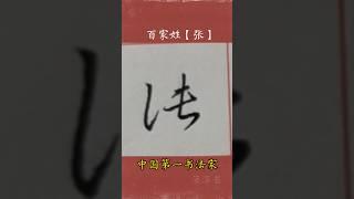 #百家姓 姓氏:张  江湖体系列展示 #写字是一种生活  广斥海滨书 #字丑勿喷 中国第一书法家