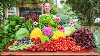 Organic Garden Harvest, Here is What I Harvested Today...