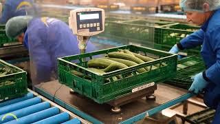 Jupiter: Working at Venlo Fresh Logistics