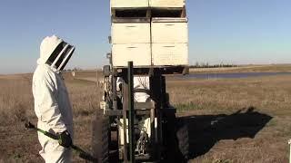 ND Apiary - Cleaning Pallets