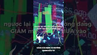  Cách xác định xu hướng trong đầu tư 〽️