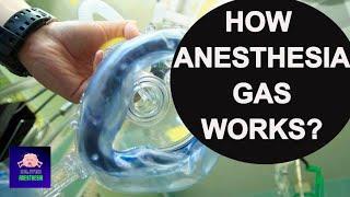 ANESTHESIA UNNATURAL MOVEMENTS: How Anesthesia Gas Works - Anesthesiologist answers