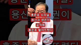 홍준표 뇌피셜. 용산과 쌍권이 공작해 홍준표 떨어뜨렸다