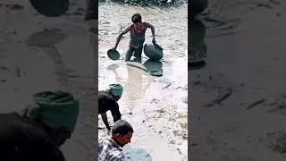 Rural Fishing Catching River By Fisherman. Big Carp Fish In A Hill Hole Underground #fishing #video