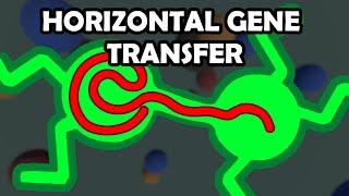 Simulating Horizontal Gene Transfer in Bacteria