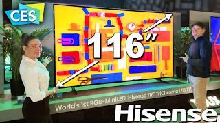 116" Hisense TriChroma LED TV @ CES 2025