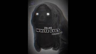White Eyes vs Wither #ustulati #marcusyu #minecrafthorror #minecraftanime #minecraft #vsedit #edit