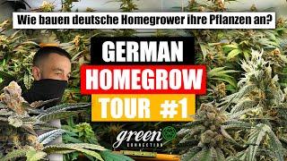 LEGALES CANNABIS aus dem eigenen INDOOR GARTEN ! | GERMAN HOMEGROW TOUR pt. 1 | GreenConnection