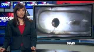 Infant Rescued from sewer pipe, still alive!