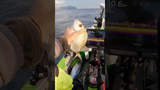 Pesca con la sarda. Video integrale sul canale #fishing #pescare #pesca #kayak #fish