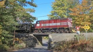 Fall Foliage on the Winnipesaukee Scenic: Leo's first lead