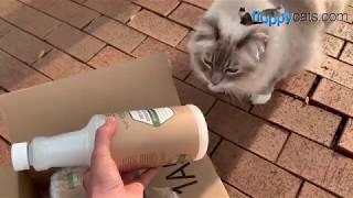 Natural Pet Stain Remover: TriNova Natural Pet Stain and Odor Remover Eliminator Unboxing