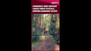 Karnataka Latest News | Wild Elephant Chases Forest Officials in Karnataka, Workers Narrowly Escape