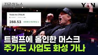 트럼프 "머스크는 슈퍼 천재"...'위험한 베팅' 성공에 테슬라 주가 훨훨 [지금이뉴스] / YTN