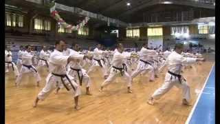 Sensei Masao Kagawa karate kata Unsu seminar jks