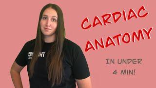 CARDIO - Heart Anatomy, Blood Flow, & Vocab