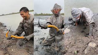 Caught four buckets of eels in a pond,