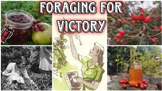 The Hedgerow Harvest - The Wild Food & Medicine Of WW2 