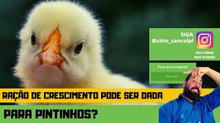 RAÇÃO DE CRESCIMENTO PARA pintinhos da certo | BOX VERDE