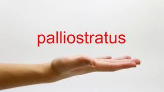 How to Pronounce palliostratus - American English