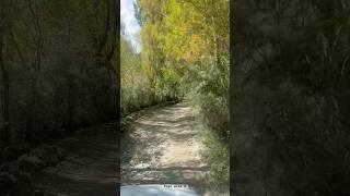 Captivating Autumn Beauty in Shigar Valley | Gilgit Baltistan | Colorfull Autumn  #nature #travel