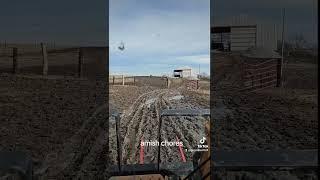 amish chores while they went to south Dakota! #amish#chores#skidloader#midwest#iowa