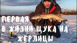 МОЁ ПЕРВОЕ КИНО !!! всем спасибо