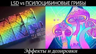 ЛСД vs ПСИЛОЦИБИНОВЫЕ ГРИБЫ. ДОЗЫ И ЭФФЕКТЫ. МИКРОДОЗИНГ.