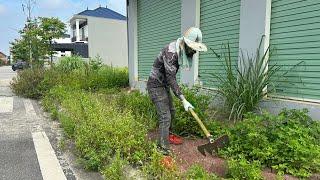 Work Clean with simple tool volunteer clean up the city when there were no lawn mowers