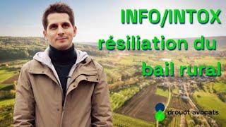 INFO/INTOX : la résiliation du bail rural