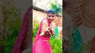 Ashish Yadav ka song Punta Rina vlog