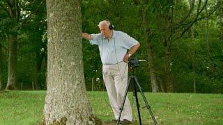 What’s in the Trunk? with Sir David Attenborough | The Green Planet | BBC Earth