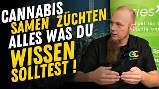 Cannabis-Genetik erklärt: Landrassen, reguläre Samen, F1-Hybriden & eigene Zucht!