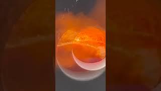 Will it MELT?   Grilled Cheese Reuploaded for Short #Shorts #w2m  #fyp