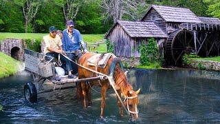 200 YEAR OLD MILL in Azerbaijan - Grandma and Grandpa Made Rice Flour and Rice Halwa