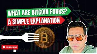 Bitcoin Forks Explained: What They Are and Why They Matter!