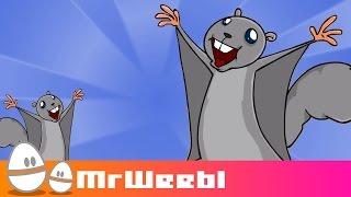 Flying Squirrels : animated music video : MrWeebl