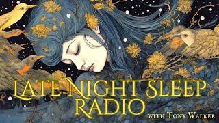 Late Night Sleep Radio, Episode 1 #sleeptalk #unintentionalasmr #sleepstories