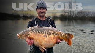 I caught a MONSTER 50LB Mirror From Coking Farm! Big Carp Fishing UK